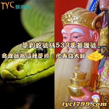 https://www.wagerrg.com.tw/夢到蛇號碼539要簽幾號,命理師揭這種夢境:代表發大財